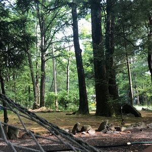 Meet your Posher, Demi